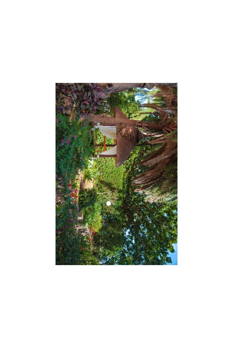 Les Lataniers Bleus - Villas & Guest House