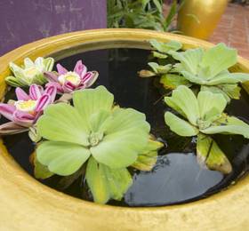 Отдых в The Villa Siem Reap - Камбоджа, Сиемреап