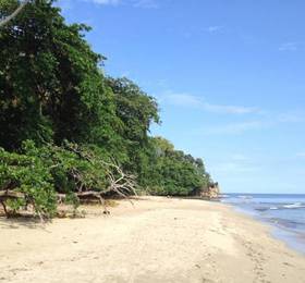 Туры в La Perla del Caribe в Коста-Рике