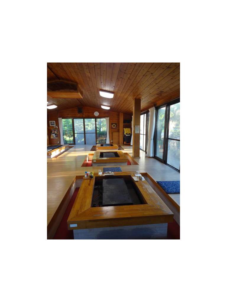 Ryokan Yougan Onsen