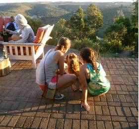 Отдых в African Array Lodge - ЮАР, Плеттенберг-Бей