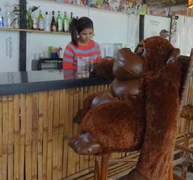 Туры в European Guesthouse в Камбодже