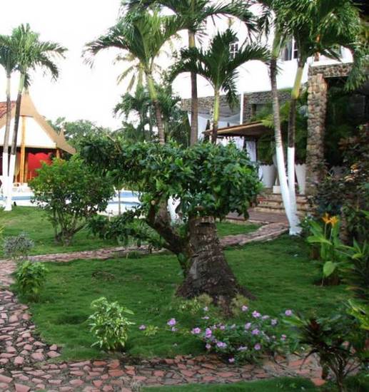 Hotel Buddha Villa 4* Колумбия, Сан-Андрес