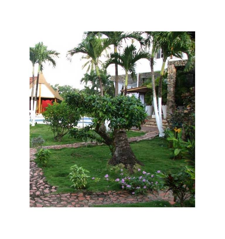 Hotel Buddha Villa