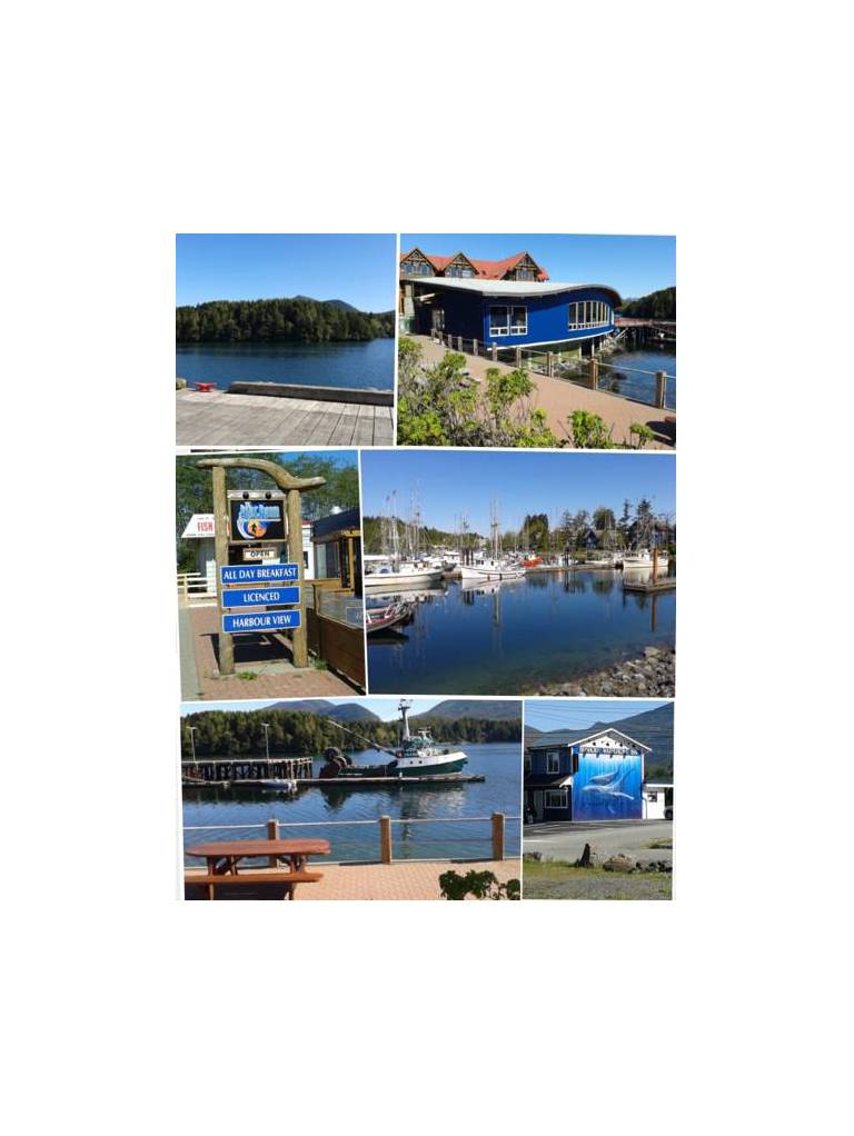 Spring Cove Cabins