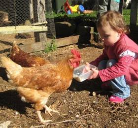 Туры в Byron Bay Farmstay в Австралии