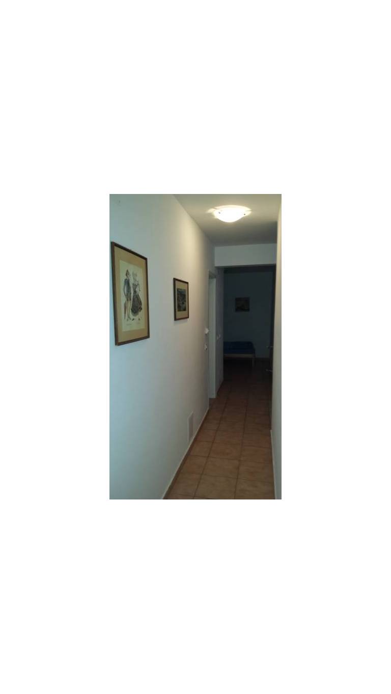 Apartments Violeta