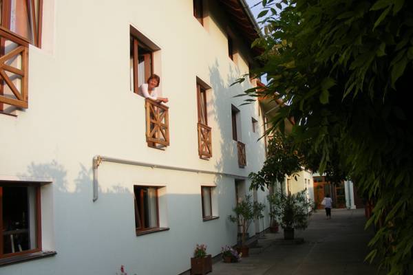 Pension Romantika 3* Румыния, Одорхею-Секуйеск
