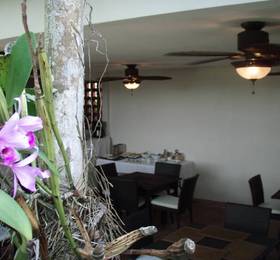 Туры в Baru Lodge Panama в Панаме