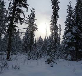 Отдых в Eh Canadian Lodge - Канада, Голден