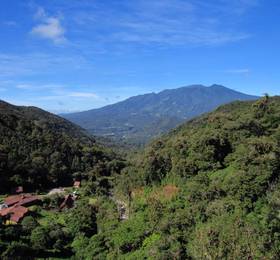 Туры в Boquete Tree Trek в Панаме