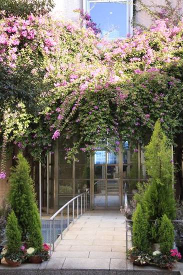 Coganoi Bay Hotel 3* Япония, Сирахама