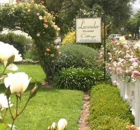 Туры в Lavender Cottage в ЮАР