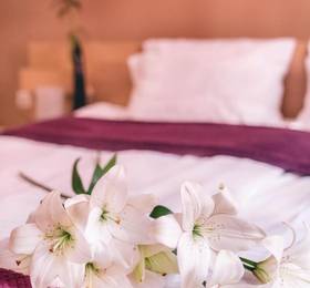 Отдых в CitiHotel Veliki - Сербия, Нови-Сад