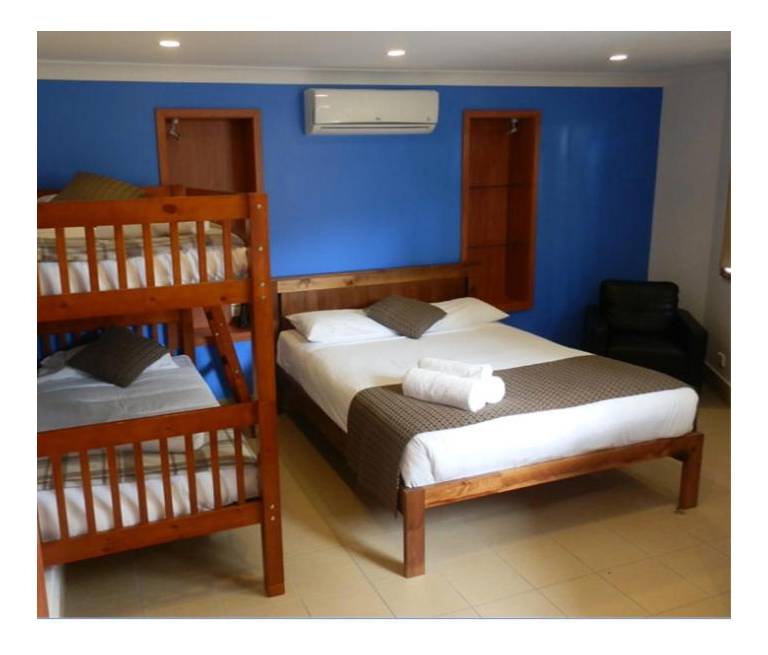 Koala Tree Motel