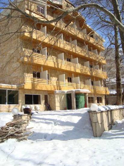 Tamer Land Hotel 4* Ливан, Кфардебиан
