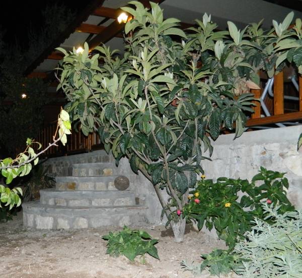 Patalya Pension