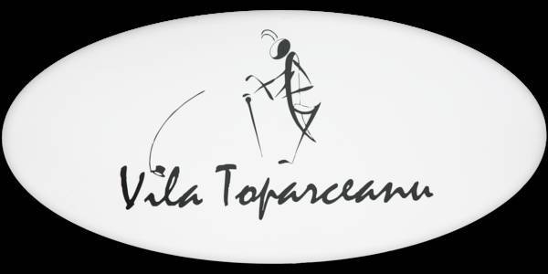 Vila Toparceanu 4* Румыния, Отопени