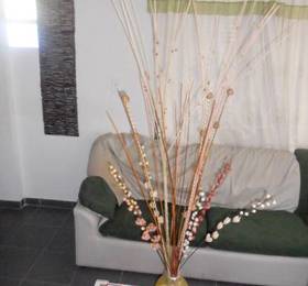 Туры в Sheylla's Place в Колумбии