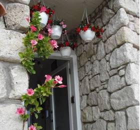 Туры в Narcicegi Hotel в Турции