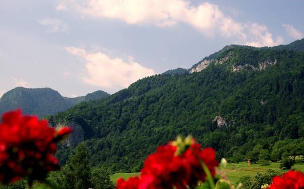 Pension Pr Bevc 3* Словения, Блед