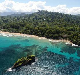 Туры в Cariblue Beach and Jungle Resort в Коста-Рике