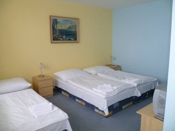 Vila Miramonti 3* Словакия, Высокие Татры