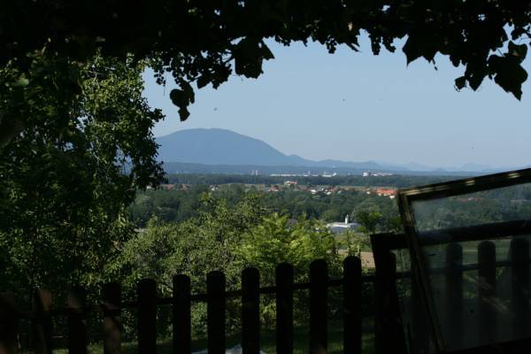 Panorama Rooms 2* Словения, Птуй