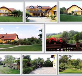 Panorama Rooms в Птуе