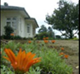 McLarens Lodge в Нувара Элие