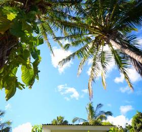 Туры в Casa Rapa Nui в Чили