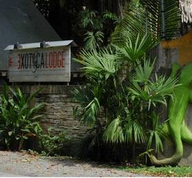 Отдых в Exotica Lodge - Коста-Рика, Пуэрто-Вьехо