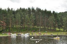 Vila Zlatibor 4* Сербия, Златибор
