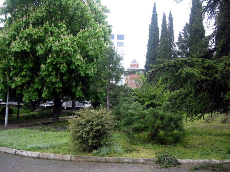 Таврида 3* Россия, Алушта