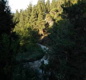 Туры в Forest Lodge в Турции