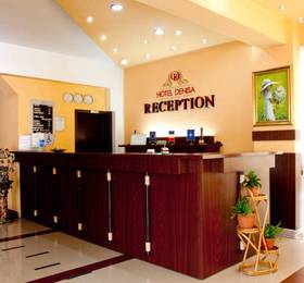 Denisa Hotel в Отопени