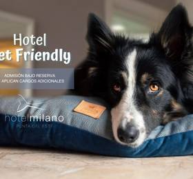 Hotel Milano в Пунта дел Есте