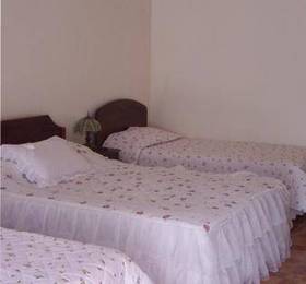 Туры в Hostal Orito в Чили