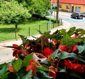 Отдых в Hostel Sonce - Словения, Птуй