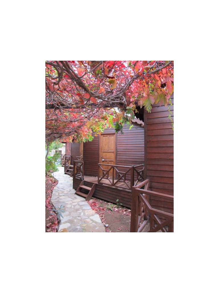 Changa Hotel