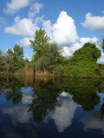 Elrio Motel Турция, Агва