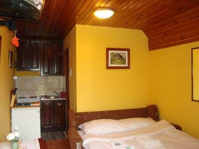 Vila Kostic 4* Сербия, Златибор