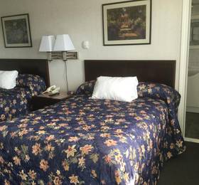 Tay Inn в Перте
