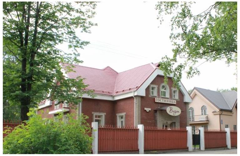 Vizit