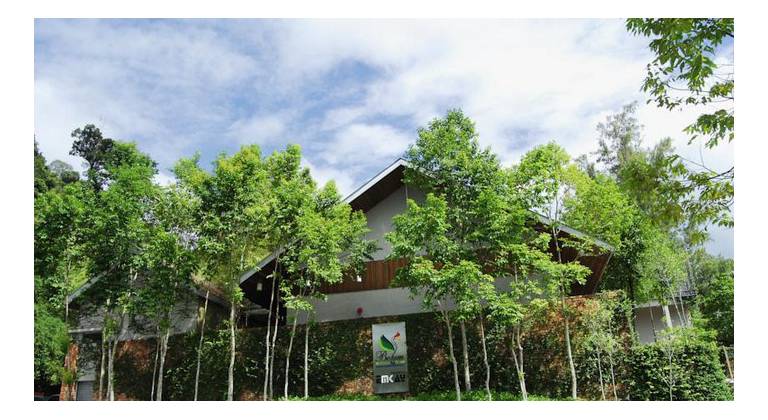 Belum Rainforest Resort