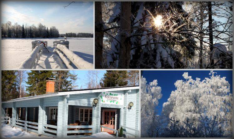 Hotel Koivuranta 3* Финляндия, Куопио