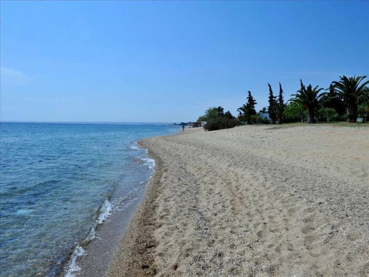 Toroneos Hotel 2* Греция, Халкидики