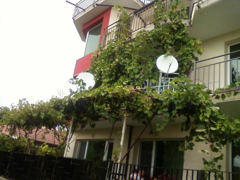 Guest House Sunny Hill