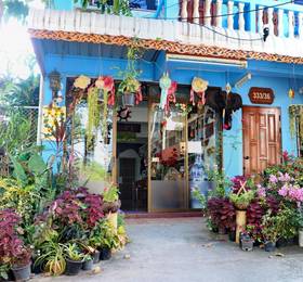 Saithong House в Чианг Мае