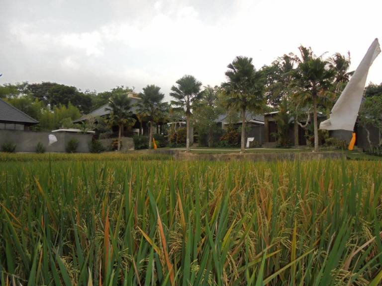 Umae Villa